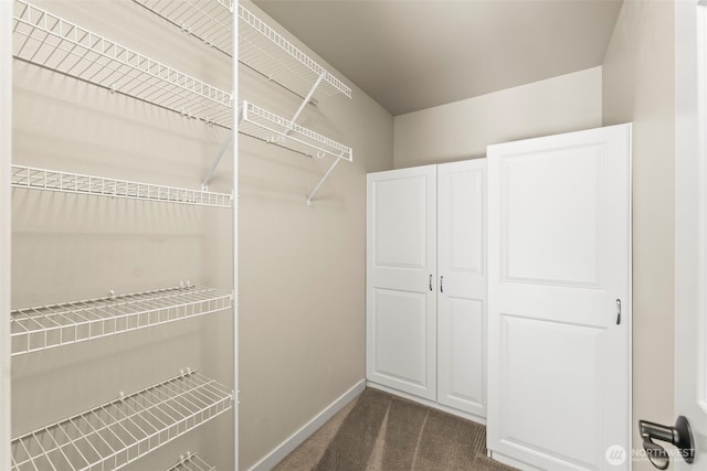 4492 Fantail Pl SW, Port Orchard, WA 98367 - walk in closet with dark carpet