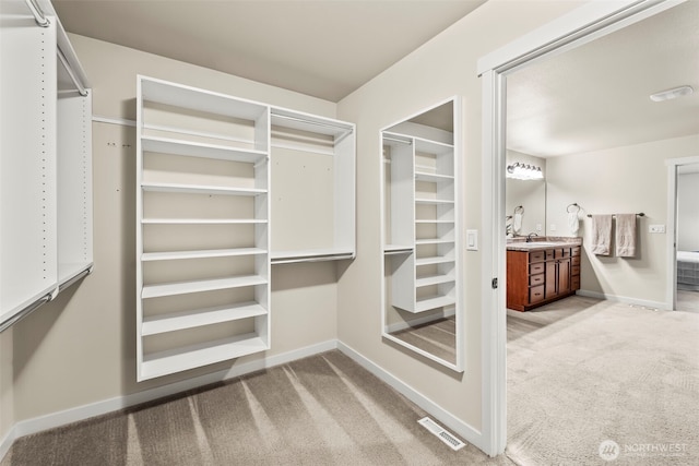 4492 Fantail Pl SW, Port Orchard, WA 98367 - walk in closet with carpet floors and a sink