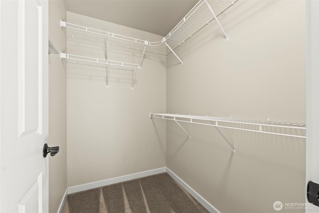 4492 Fantail Pl SW, Port Orchard, WA 98367 - spacious closet with dark colored carpet