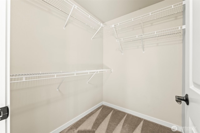 4492 Fantail Pl SW, Port Orchard, WA 98367 - spacious closet featuring carpet flooring