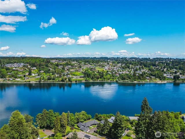 2710 N Lafayette, Bremerton, WA 98312 - bird's eye view of a large body of water