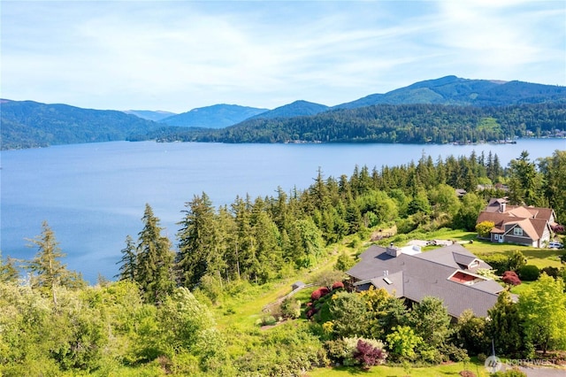 3178 Edgewood Ln, Bellingham, WA 98226 - aerial view of property and surrounding area with a heavily wooded area and a water and mountain view