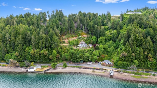4590 E State Route 106, Union, WA 98592 - bird's eye view of a forest and a nearby body of water