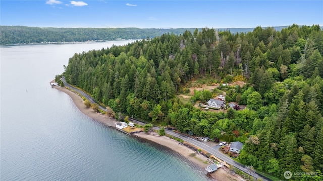 4590 E State Route 106, Union, WA 98592 - aerial view of property and surrounding area with a forest and a large body of water