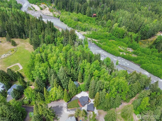62307 Meadow Way E, Greenwater, WA 98022 - photo 35