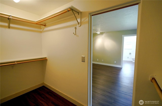 463 Humble Hill Rd, Sequim, WA 98382 - walk in closet with dark wood-style flooring