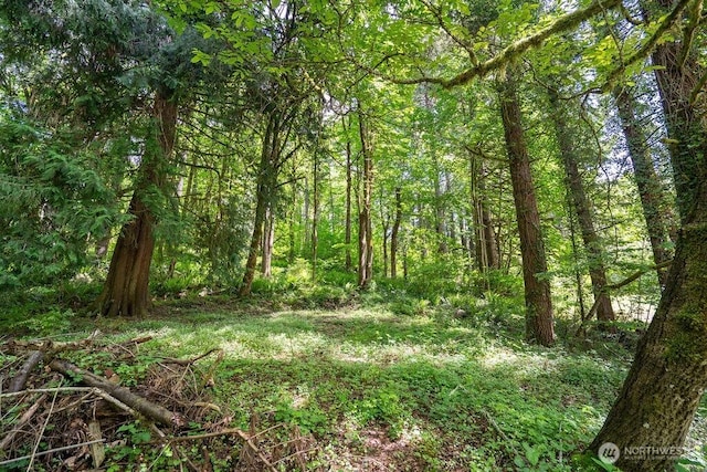 628 Englert Rd, Woodland, WA 98674