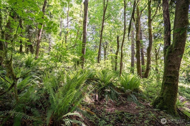 628 Englert Rd, Woodland, WA 98674