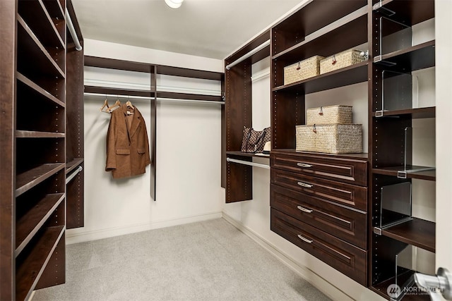 221 5th Ave S Unit E303, Kirkland, WA 98033 - walk in closet with carpet floors