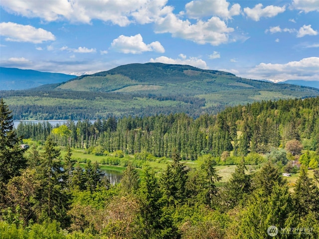 512 Snagstead Way, Port Townsend, WA 98368 - mountain view with a heavily wooded area and a large body of water