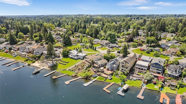 26736 138th Pl SE, Kent, WA 98042 - aerial view of residential area featuring a large body of water