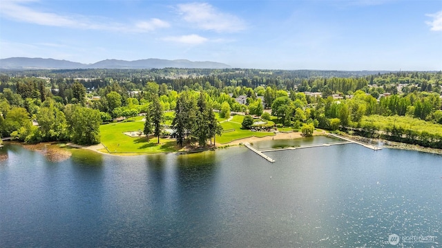 26736 138th Pl SE, Kent, WA 98042 - drone / aerial view of a water and mountain view