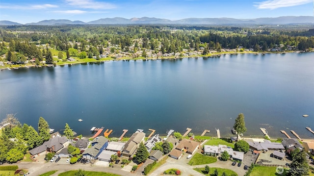26736 138th Pl SE, Kent, WA 98042 - aerial perspective of suburban area with a water and mountain view and a forest
