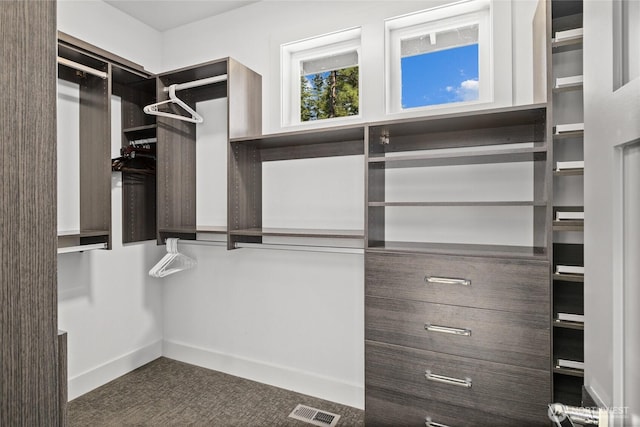 501 Maple Leaf Loop, Cle Elum, WA 98922 - spacious closet with dark carpet