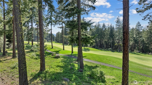 501 Maple Leaf Loop, Cle Elum, WA 98922 - surrounding community featuring a yard and golf course view