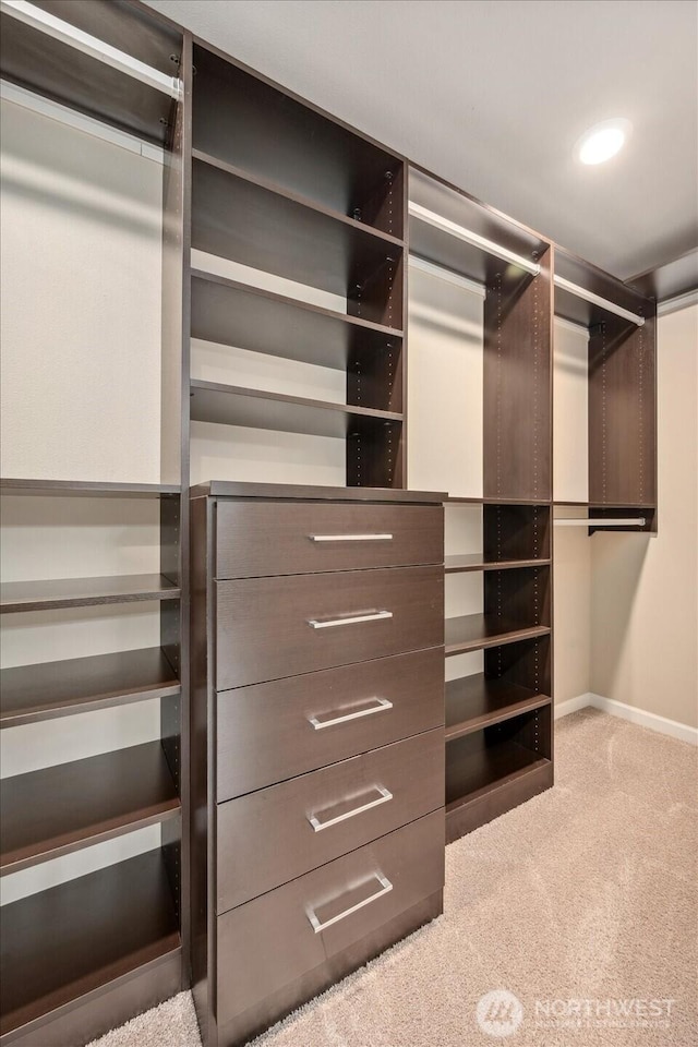 12304 55th Dr SE, Snohomish, WA 98296 - walk in closet with carpet floors