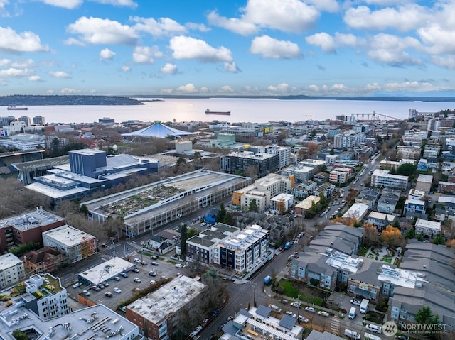 377 Valley St, Seattle, WA 98109 - photo 29