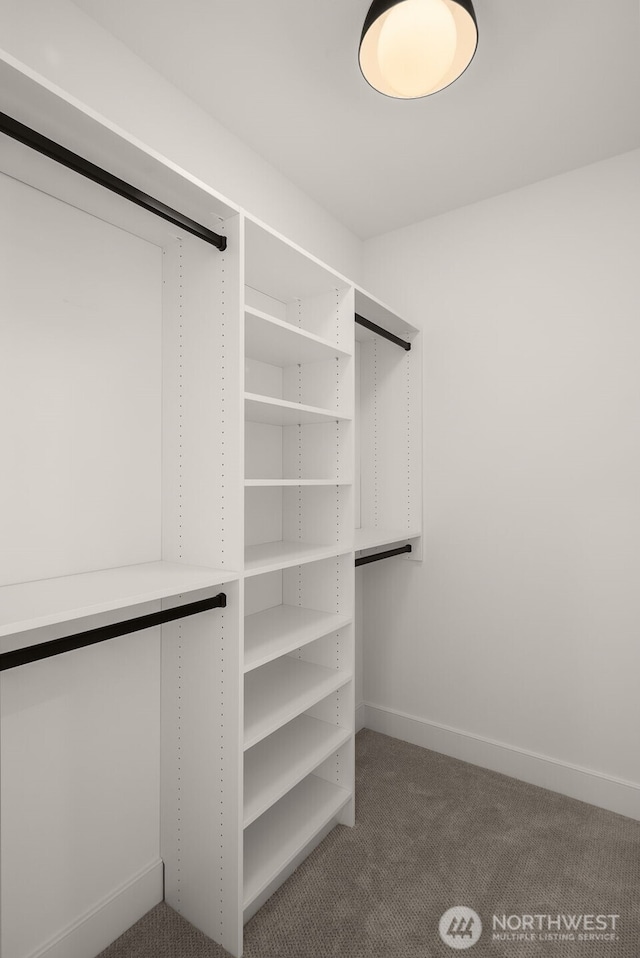 12833 NE 91st St, Kirkland, WA 98033 - spacious closet featuring carpet floors
