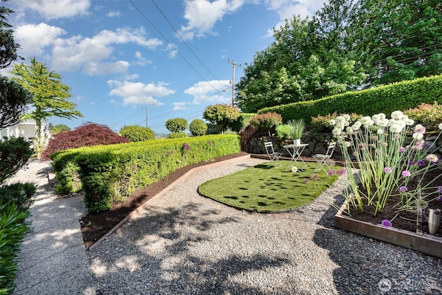 7408 S 128th St, Seattle, WA 98178 - view of yard with a vegetable garden