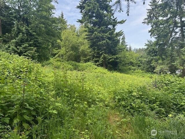 1823 Polnell Rd, Oak Harbor, WA 98277 - photo 23