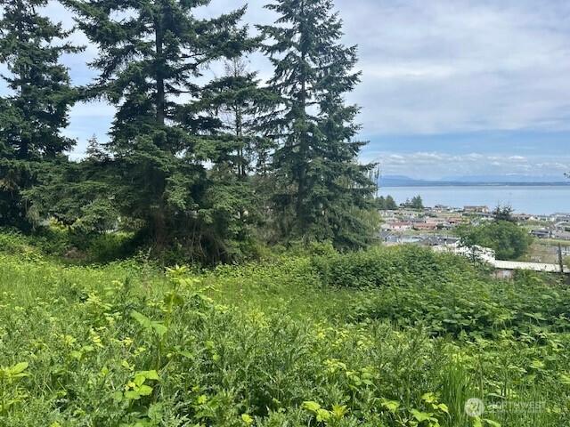 1823 Polnell Rd, Oak Harbor, WA 98277 - photo 25
