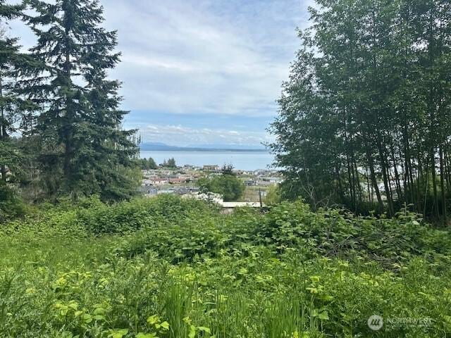 1823 Polnell Rd, Oak Harbor, WA 98277 - photo 26