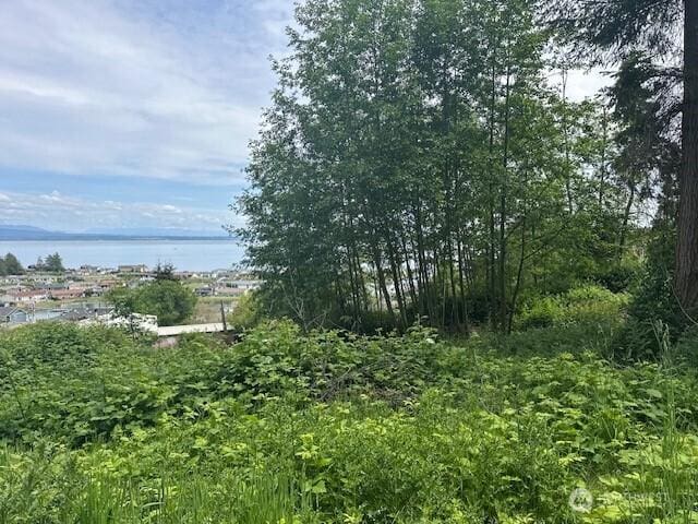 1823 Polnell Rd, Oak Harbor, WA 98277 - photo 28
