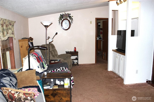 17340 Sargent Rd SW Unit 54, Rochester, WA 98579 - carpeted living area featuring lofted ceiling