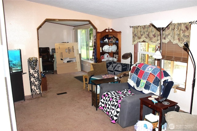 17340 Sargent Rd SW Unit 54, Rochester, WA 98579 - carpeted bedroom with arched walkways