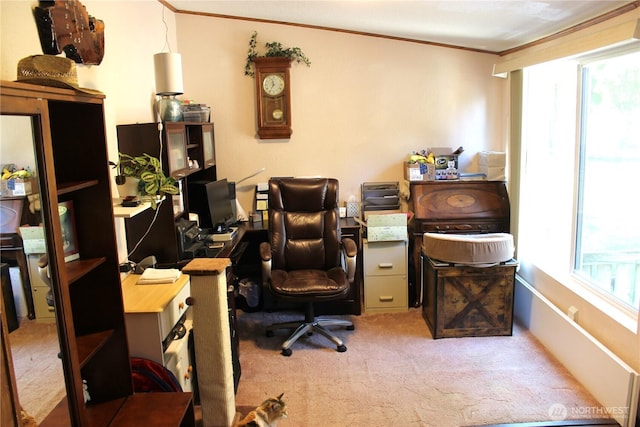 17340 Sargent Rd SW Unit 54, Rochester, WA 98579 - carpeted office space with crown molding