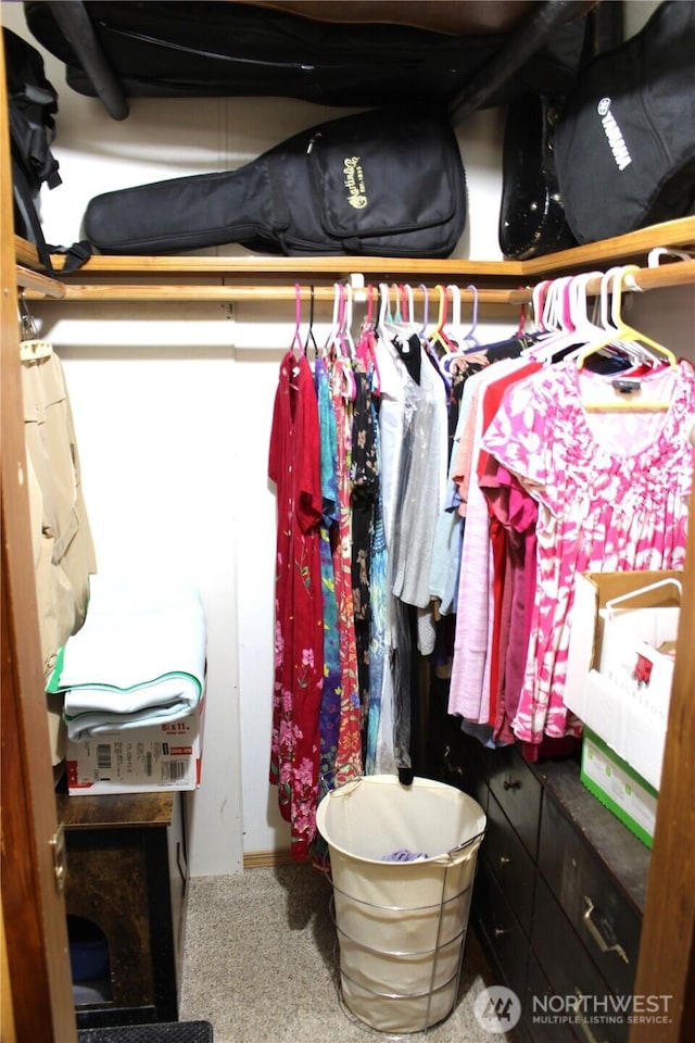 17340 Sargent Rd SW Unit 54, Rochester, WA 98579 - spacious closet with carpet