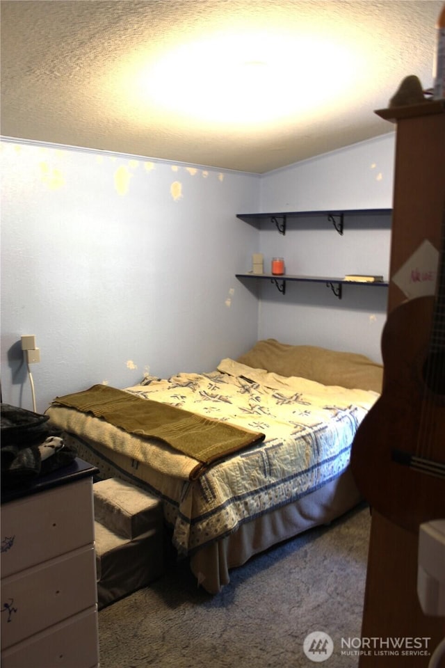 17340 Sargent Rd SW Unit 54, Rochester, WA 98579 - view of carpeted bedroom