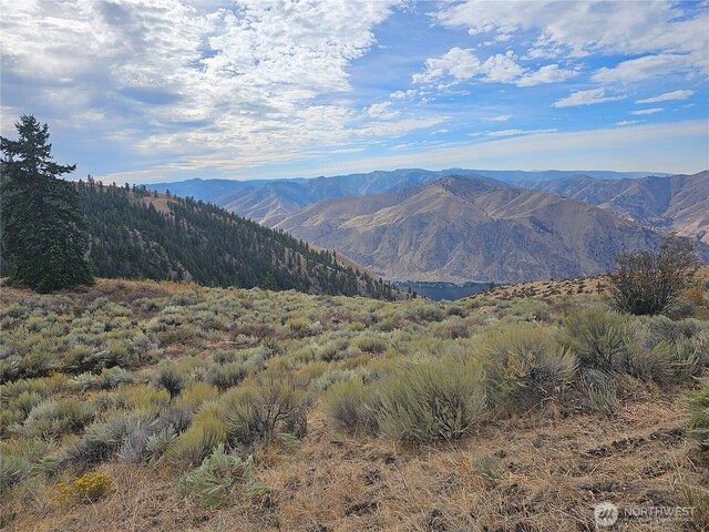1XX Redfield Rd, Waterville, WA 98858