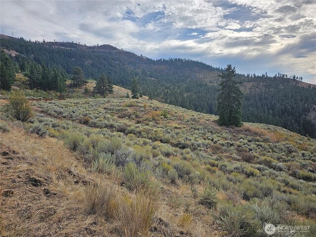 1XX Redfield Rd, Waterville, WA 98858