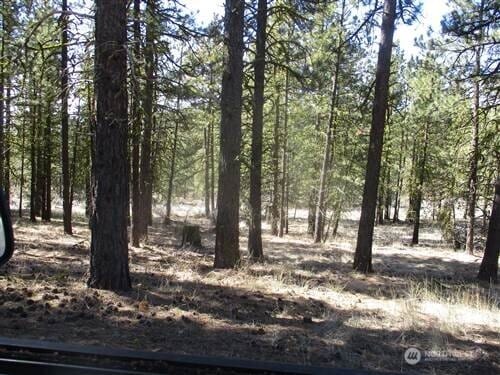 1XX Redfield Rd, Waterville, WA 98858