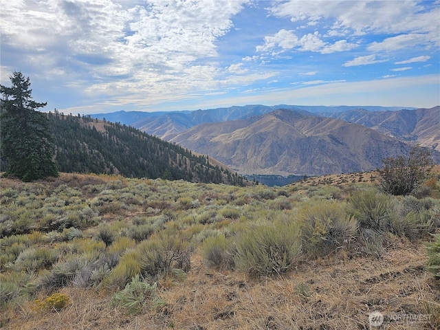 2XX Redfield Rd, Waterville, WA 98858