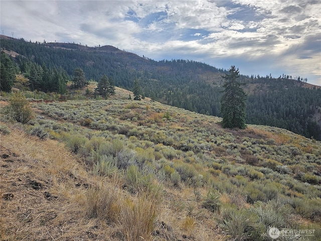2XX Redfield Rd, Waterville, WA 98858