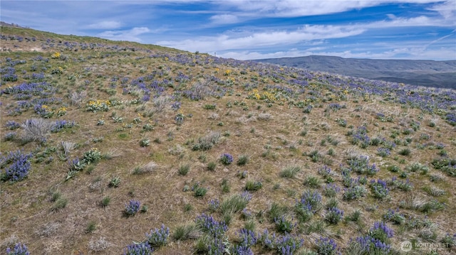 0LOT1 Burch Mountain Rd, Wenatchee, WA 98801