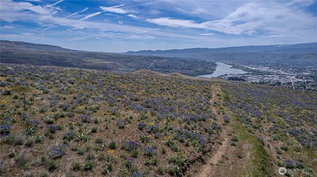 0LOT1 Burch Mountain Rd, Wenatchee, WA 98801