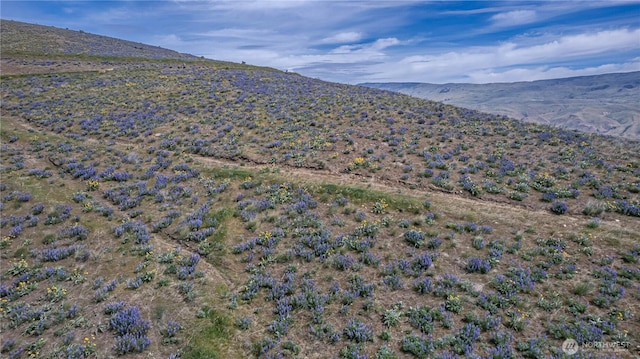 0LOT1 Burch Mountain Rd, Wenatchee, WA 98801