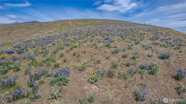 0LOT1 Burch Mountain Rd, Wenatchee, WA 98801