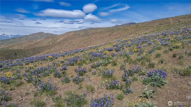 0LOT1 Burch Mountain Rd, Wenatchee, WA 98801