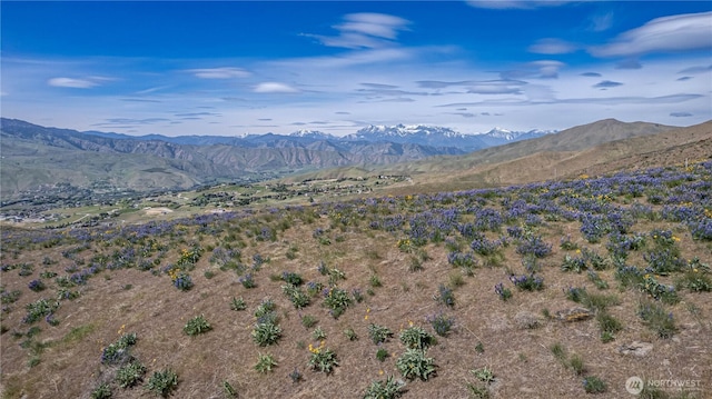 0LOT1 Burch Mountain Rd, Wenatchee, WA 98801