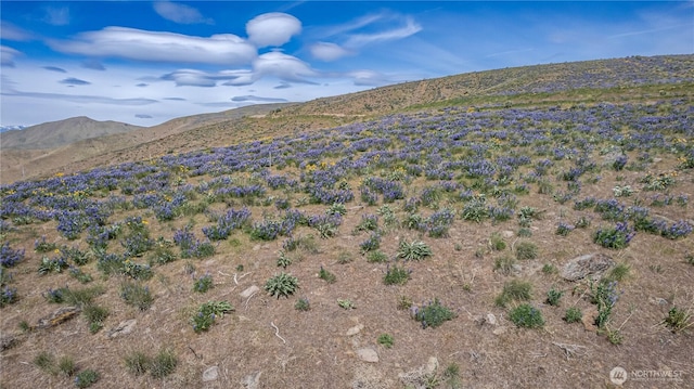 0LOT1 Burch Mountain Rd, Wenatchee, WA 98801