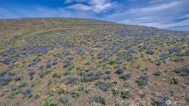0LOT1 Burch Mountain Rd, Wenatchee, WA 98801