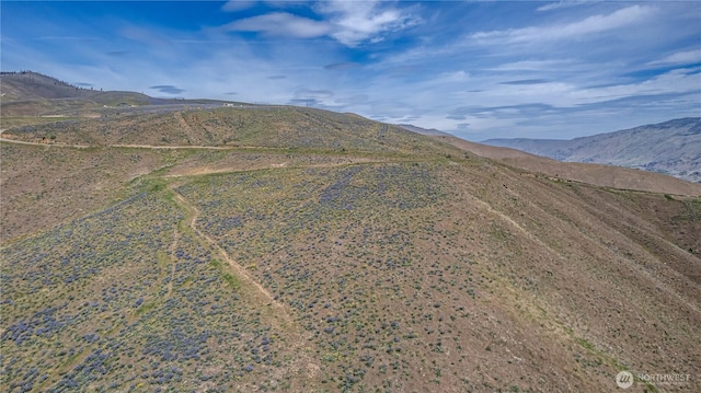 0LOT1 Burch Mountain Rd, Wenatchee, WA 98801
