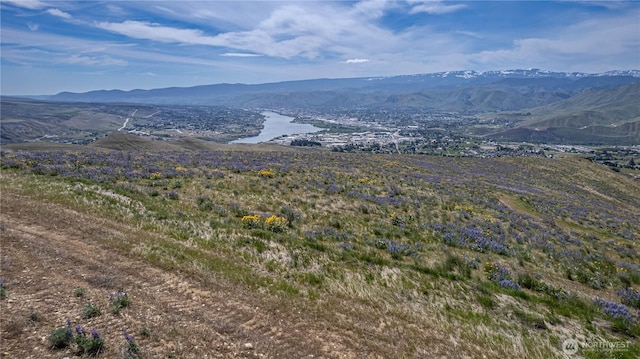 0LOT1 Burch Mountain Rd, Wenatchee, WA 98801