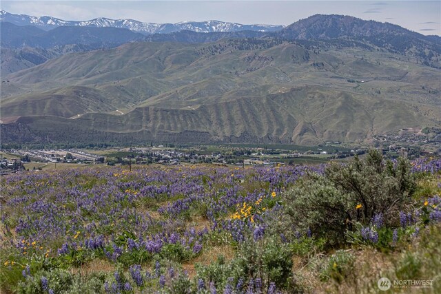 0LOT1 Burch Mountain Rd, Wenatchee, WA 98801