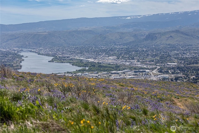 0LOT1 Burch Mountain Rd, Wenatchee, WA 98801