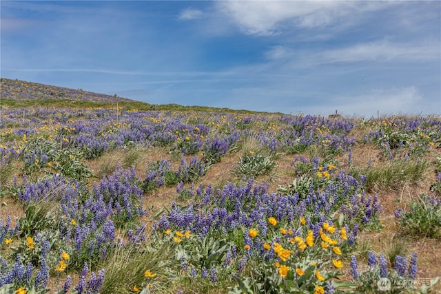 0LOT1 Burch Mountain Rd, Wenatchee, WA 98801